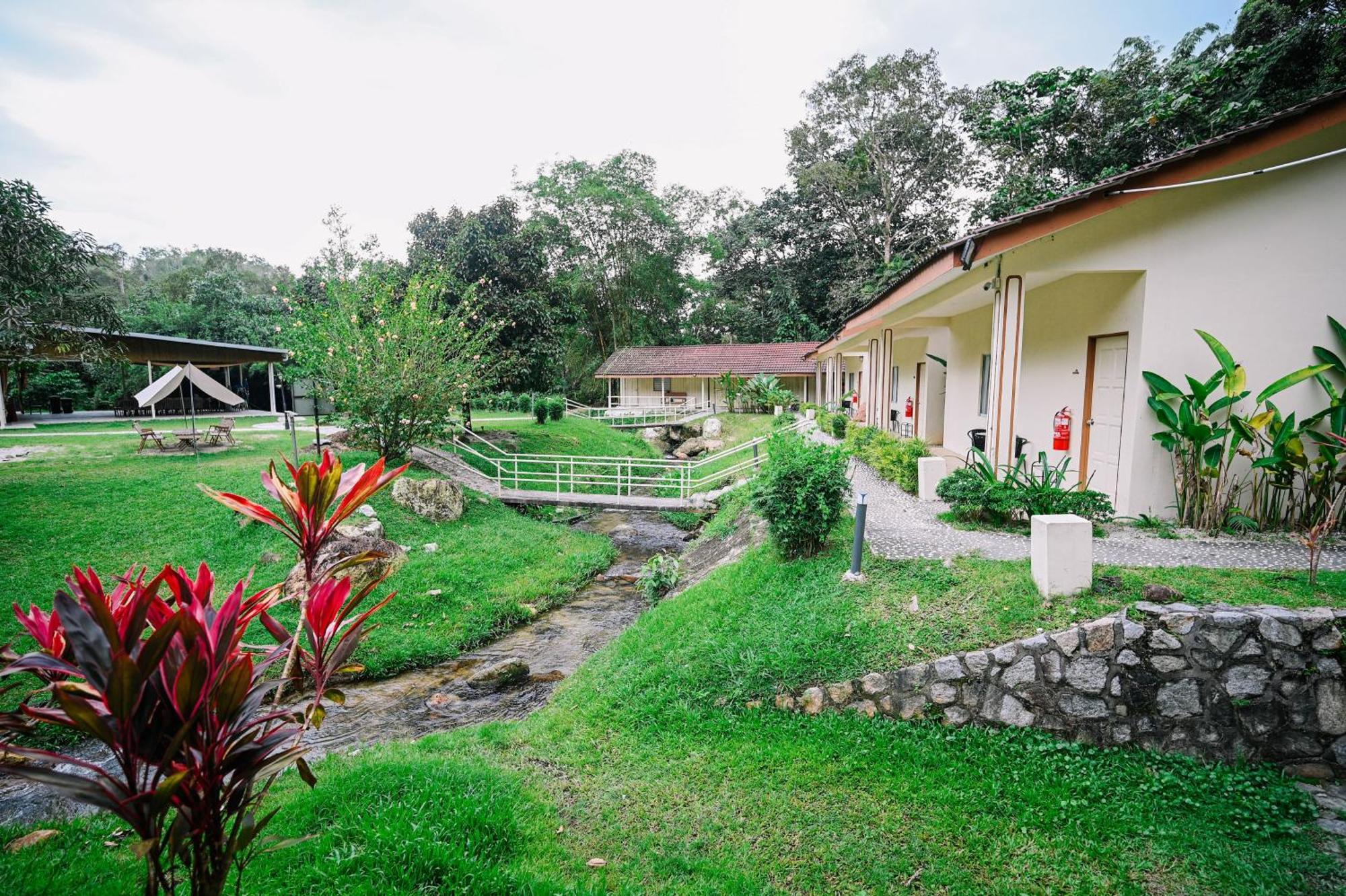 Lilla Rainforest Retreat - フル・ランガッ エクステリア 写真