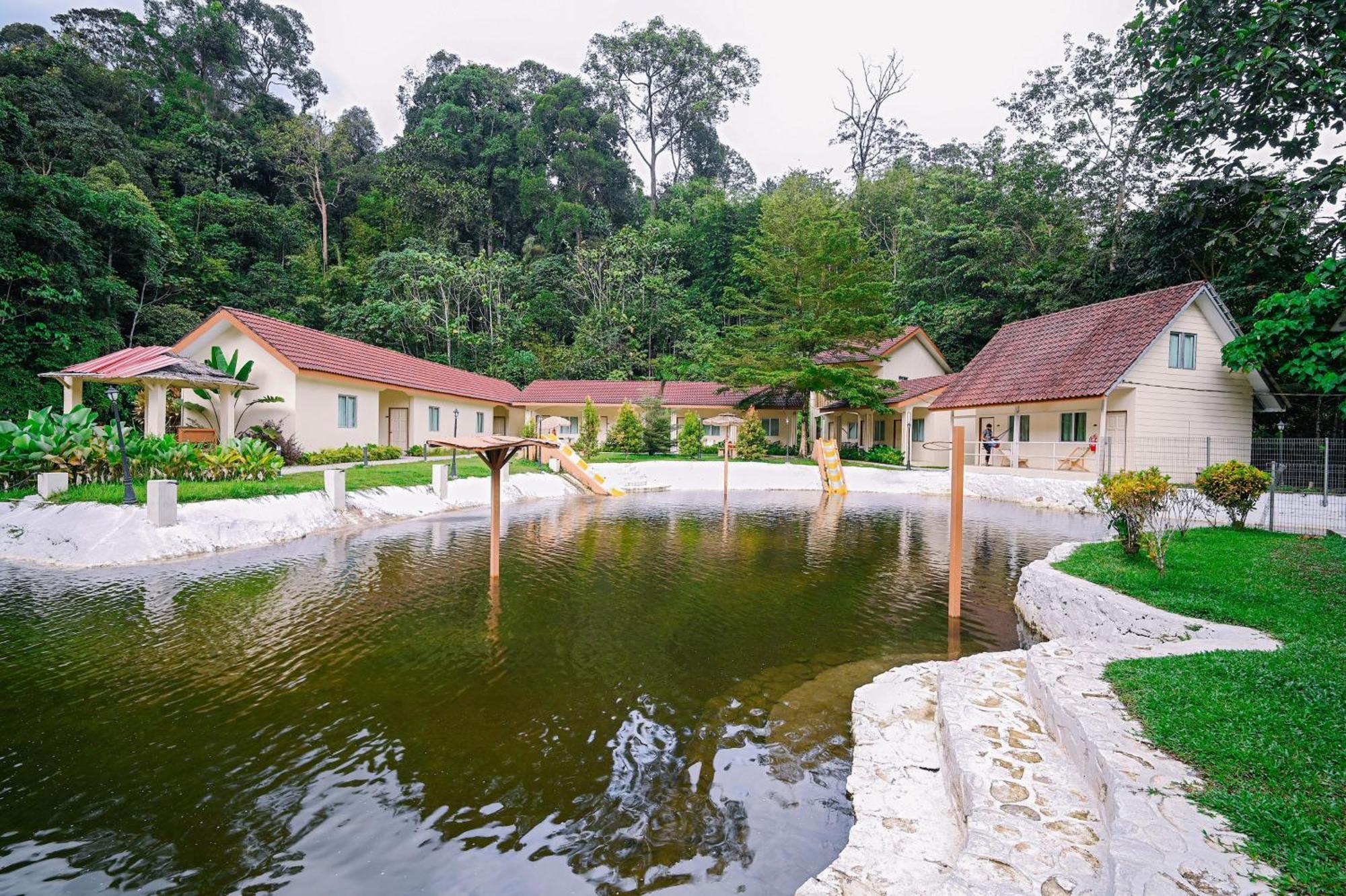 Lilla Rainforest Retreat - フル・ランガッ エクステリア 写真